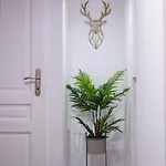 Coban 아파트