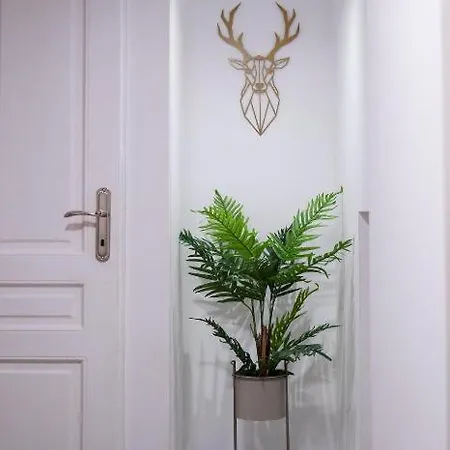 Coban Διαμέρισμα